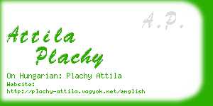 attila plachy business card